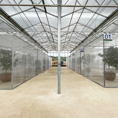 Multi Spanne Hyroponic galvanisierte Floss Venlo-Gewächshaus-landwirtschaftliche Glasausrüstungen