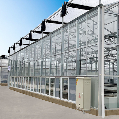 Multi Spanne Hyroponic galvanisierte Floss Venlo-Gewächshaus-landwirtschaftliche Glasausrüstungen