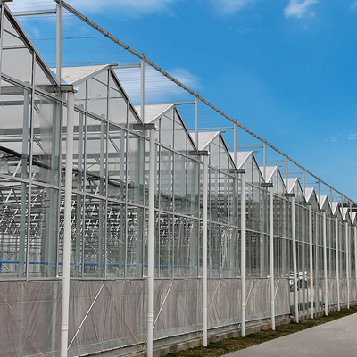 Landwirtschaftliche multi Spannen-Wasserkulturfaser-Glas-Gewächshaus für die Gemüse-Zucht