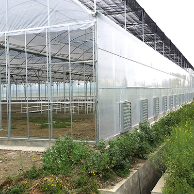 Saatbeet-Kindertagesstätten-multi Spannen-Tunnel-Plastikgewächshaus für Erdbeerdas pflanzen