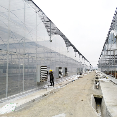 Wind-beständige hochwertige Ernte-Wachstums-Plastikhülle 8 Mil Multi Span Greenhouse