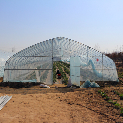 Automatisiertes einlagiger hoher Tunnel-passives Solargewächshaus für Erdbeere
