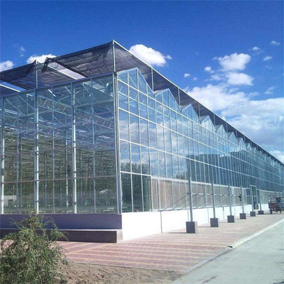 Metallrahmen Polytunnel-Glas Venlo-Art Gewächshaus stabilisierte 60x90m