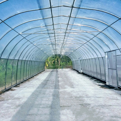 Regenschirm-Dach-Entlüftungs-einzelnes Spannen-Gewächshaus für das Tropen-Wasserkulturwachsen