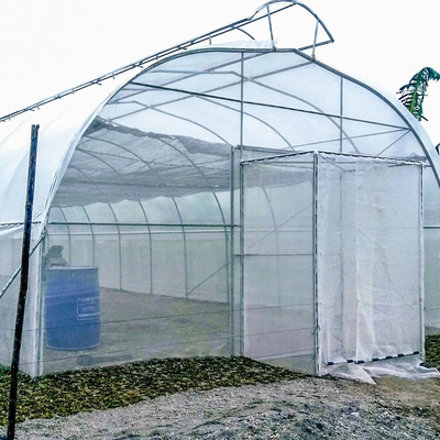 Regenschirm-Dach-Entlüftungs-einzelnes Spannen-Gewächshaus für das Tropen-Wasserkulturwachsen