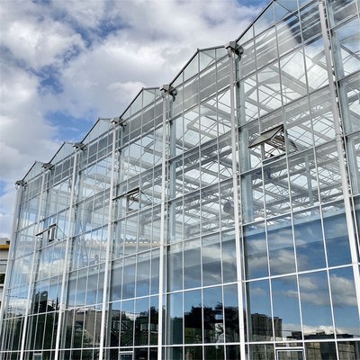 Gewächshaus-Struktur-Glas-niederländische Gewächshaus-Vertikale Multi-Spannen-Gewächshaus Duble Glasscheibe galvanisierte