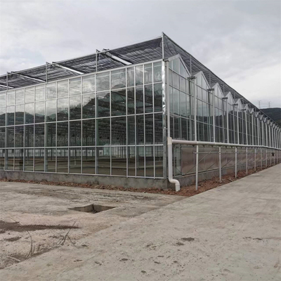 Multi-Spanne landwirtschaftliche Gewächshäuser Venlo milderten Glasgewächshaus mit wachsendem Wasserkultursystem