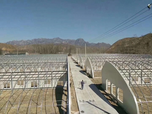 angepasste Temperaturkontrolle Polytunnel Gewächshäuser mit Solarenergie Kühlsystem