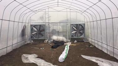 Gemüse-Betriebspolyäthylen-Film-Gewächshaus mit dem einfachen Kühlsystem installieren