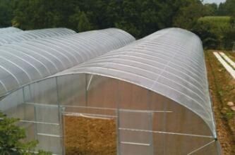 Das Innengewächshaus-Zelt im Freien, das klein ist,/das Gemüse, wachsen Zelt-einfaches installiert