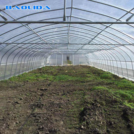 Tunnel-Plastikfilm-Gewächshaus/Gemüsegewächshaus-Klimaregelung wirtschaftlich