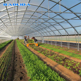 Stahlkonstruktions-Polythen wachsen Tunnel für Tomate und Gurke