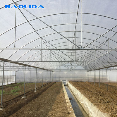 Landwirtschaftliche kommerzielle industrielle Plastikfilm-Tomate wachsen multi Spannen-Mikrogewächshaus des System-150
