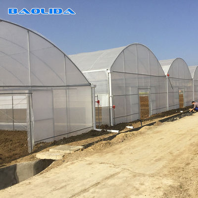 Landwirtschaftliches kommerzielles industrielles multi Spannen-Plastikgewächshaus für das Tomaten-Pflanzen