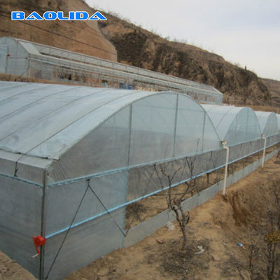 Heißes galvanisiertes Stahlrohr-Plastiktunnel-Gewächshaus landwirtschaftlich