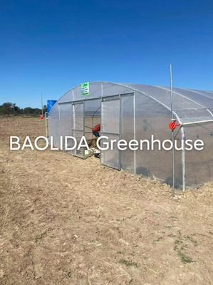 Einzelne Spannen-wächst der Gemüsetunnel-Plastik Haus-landwirtschaftliches galvanisiert