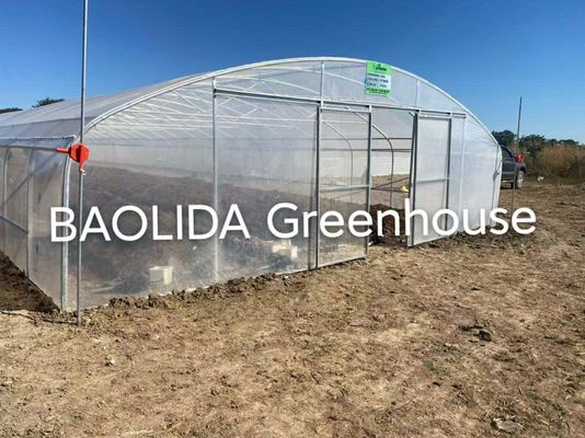 Einzelne Spannen-wächst der Gemüsetunnel-Plastik Haus-landwirtschaftliches galvanisiert