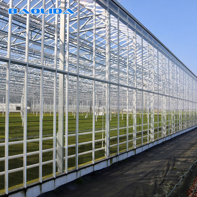 Hochleistungs-Stahlrohr-multi Spannen-Gewächshäuser Venlo-Glasart Gewächshaus Gaivalnized