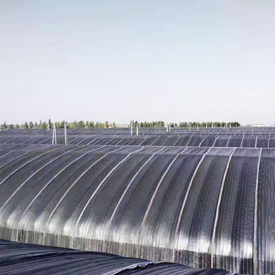 10m*100m helles Entzug-Wasserkulturgewächshaus für das Hanf-Wachsen