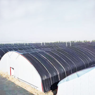 10m*100m helles Entzug-Wasserkulturgewächshaus für das Hanf-Wachsen
