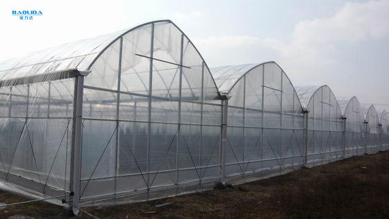 Heißes Bad galvanisierte Stahl- Plastik-Multispan-Gewächshaus für Four Seasons-Pflanzen