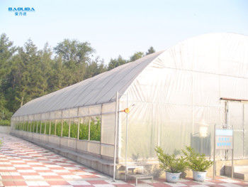 Landwirtschaftliches Gemüsetunnel-einzelnes Spannen-Gewächshaus-Plastikfilm 150 Mikrometer