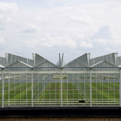 Garten-Winter-Abdeckungs-Pilz-Solarglasgewächshaus-multi Spanne Venlo-Art Gewächshaus