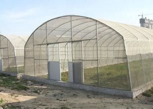 Einzelne Spannen-Plastiktunnel-Gewächshaus-Polyäthylen-Film-Gewächshaus für die Gemüse-Landwirtschaft