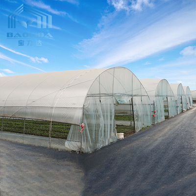 Dach-Belüftungs-Tunnel-Plastikgewächshaus mit Kühlsystem