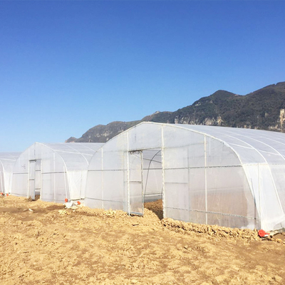Landwirtschafts-einzelne Spannen-heißes Bad galvanisierte Rohr-Tunnel-Plastikgewächshaus für Erdbeere