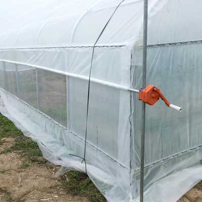 Landwirtschaftliches Plastikfilm-Gewächshaus-einfache Struktur leicht installiert