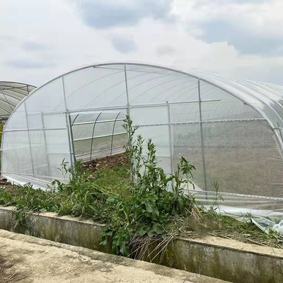 Erdbeere, die Seitenbelüftungs-einzelnes Spannen-Gewächshaus für die Landwirtschaft wächst