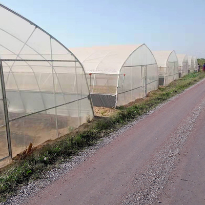 Erdbeere, die Seitenbelüftungs-einzelnes Spannen-Gewächshaus für die Landwirtschaft wächst