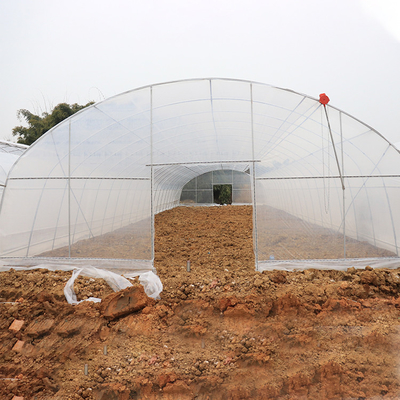 Galvanisierter Stahltunnel-Plastikfilm Greenhouseouse mit dem Schattieren des Netzes