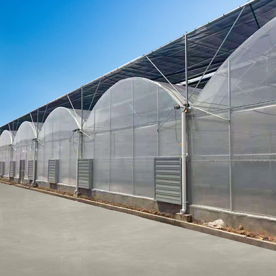 Transparente Glastunnel Multispan-Treibhauspflanze-Bearbeitung
