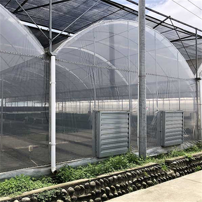 Galvanisiertes Stahlrohr-landwirtschaftliches Plastikfilm-multi Spannen-Tunnel-Gewächshaus für Gemüse