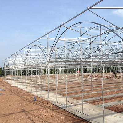 Landwirtschaftliches kommerzielles industrielles multi Spannen-Plastikgewächshaus für das Tomaten-Pflanzen