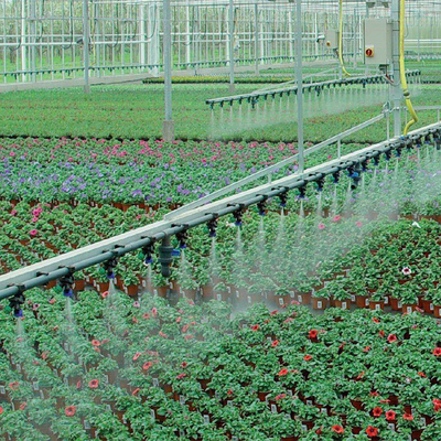 Landwirtschaftliche Bauernhof-Anlagen, die automatisches Gewächshaus-Bewässerungssystem wachsen