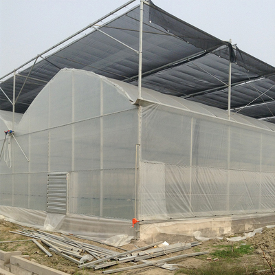 Heiße galvanisiert strukturieren Landwirtschaft Polytunnel-Gewächshaus-Wind-beständiges Multi-Spannen-Gewächshaus