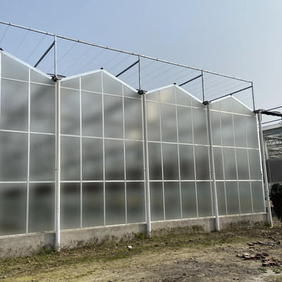 Landwirtschafts-Film-klares Polycarbonats-Gewächshaus-transparente Vierkantstahl-Rahmen-Beschichtung