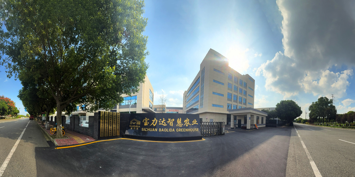China Sichuan Baolida Metal Pipe Fittings Manufacturing Co., Ltd. Unternehmensprofil