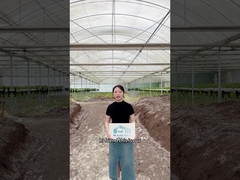 Bereit, dein Farming-Spiel zu verbessern?