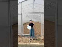 Möchten Sie Ihre Ernte mit einer kostengünstigen Lösung steigern?