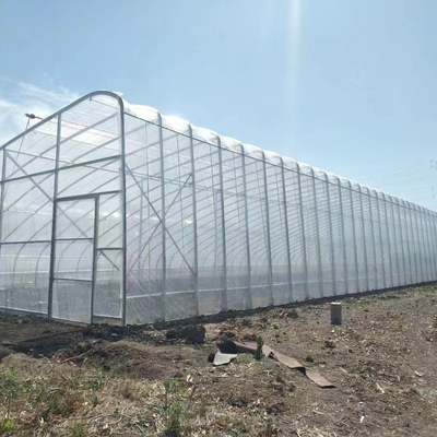 Qualität  Plastic Film Solar Passive Greenhouse With Rainwater Collection Support Fabrik