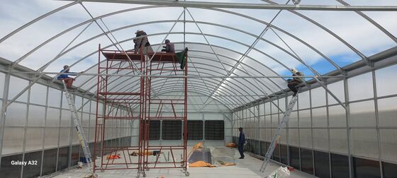 Qualität  Automated Light Deprivation Greenhouse with 8mm Twin-Wall PC Board and Hot-Dip Galvanized Steel Frame Controlled by Smart PLC System Fabrik
