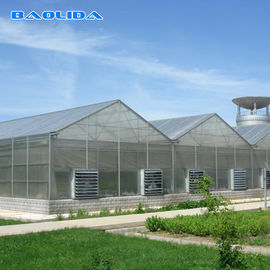 Qualität  Commercial Polycarbonate Sheet Greenhouse / PC Sheet Greenhouse Customized Material Fabrik
