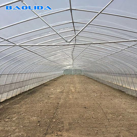 Qualität  Tomato Growing Naturally Ventilated Greenhouse Plastic Film Greenhouse Fabrik