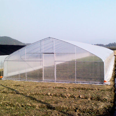Qualität  High Strength Agricultural Poly Tunnel Tomato Greenhouse 5*15m 17*50ft Fabrik