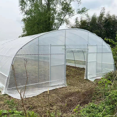 Qualität  Strawberry Growing Side Ventilation Single Span Greenhouse For Agriculture Fabrik