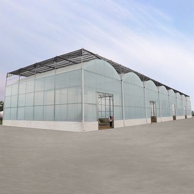Qualität  Agriculture Hydroponic System High Tunnel Greenhouse Uv Film Multi Span Fabrik